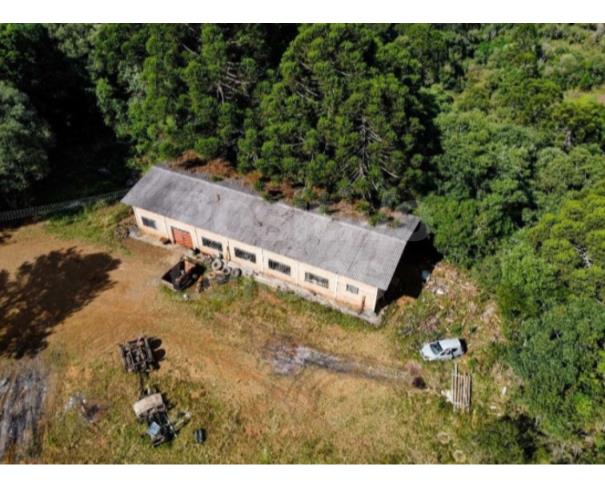 Foto de TERRENO RURAL COM A.T. DE 274.657,49M² - CAÇADOR/SC