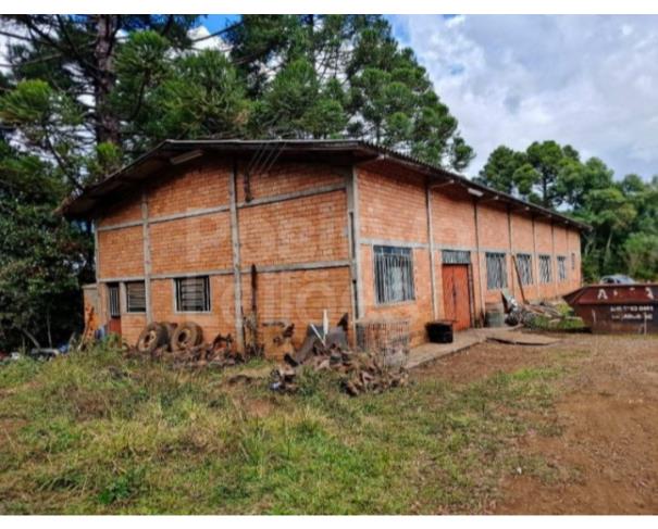 Foto de TERRENO RURAL COM A.T. DE 274.657,49M² - CAÇADOR/SC