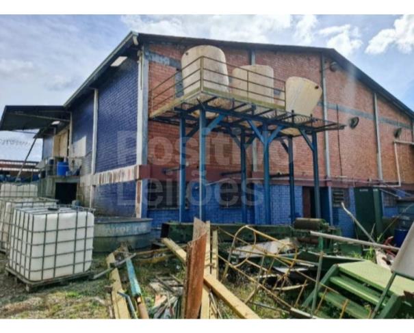 Foto de TERRENO RURAL COM A.T. DE 274.657,49M² - CAÇADOR/SC