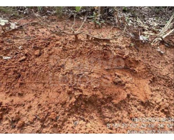Foto de ÁREA DE TERRAS COM 484,5312HA - JANUÁRIA/MG