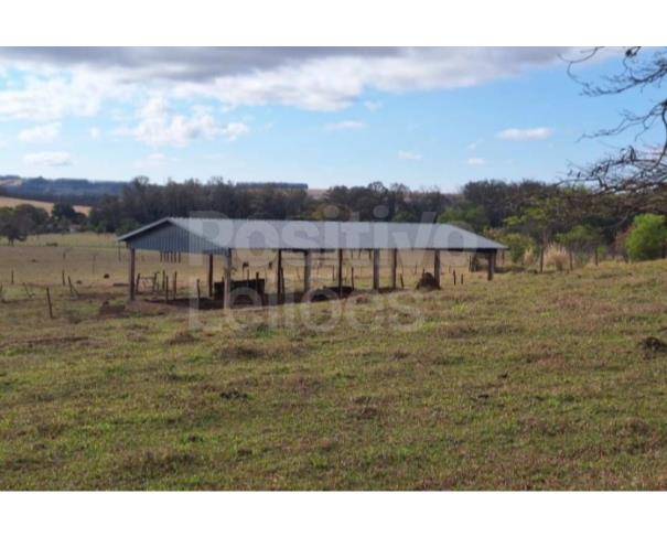 Foto de GLEBA RURAL COM A.T. DE 11,42HA - AVARÉ/SP