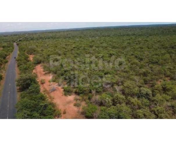 Foto de ÁREA DE TERRAS COM 484,5312HA - JANUÁRIA/MG