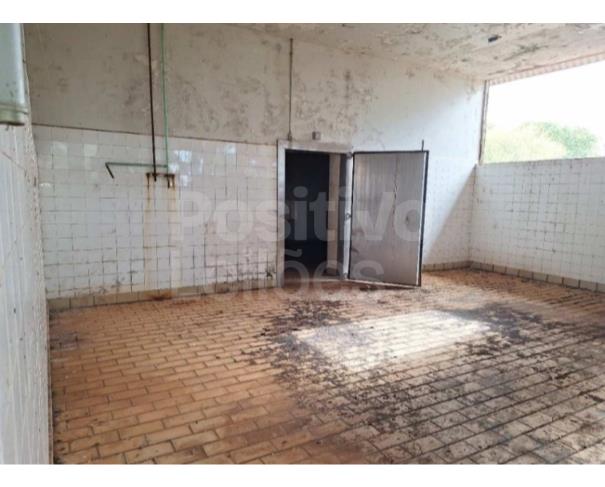 Foto de GLEBA RURAL COM A.T. DE 11,42HA - AVARÉ/SP