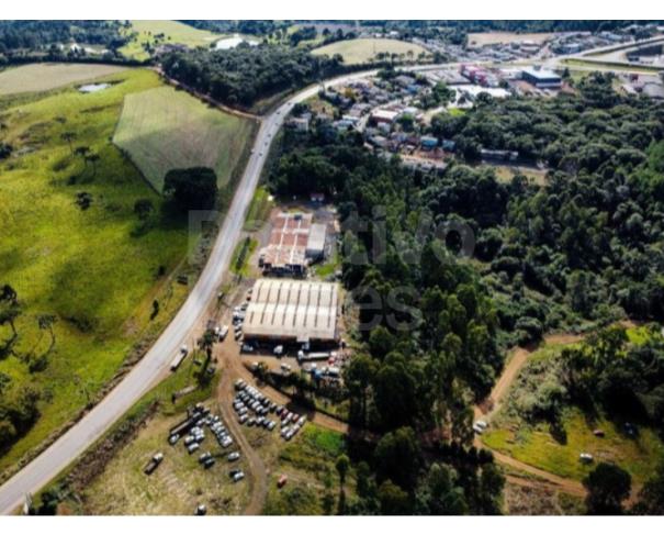 Foto de TERRENO RURAL COM A.T. DE 274.657,49M² - CAÇADOR/SC
