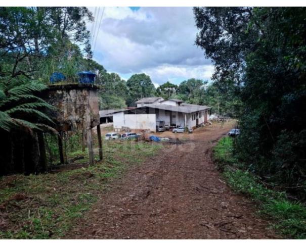 Foto de TERRENO RURAL COM A.T. DE 274.657,49M² - CAÇADOR/SC