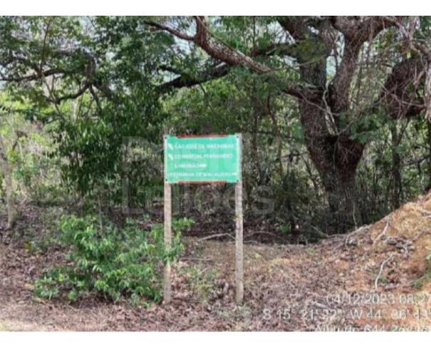 Foto de ÁREA DE TERRAS COM 484,5312HA - JANUÁRIA/MG