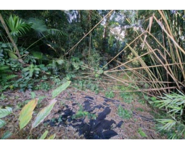Foto de TERRENO COM A.Ú. DE 1.967,61M² - SANTOS/SP