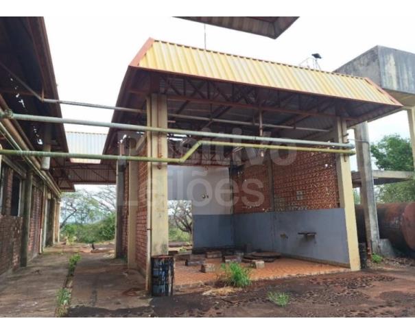 Foto de GLEBA RURAL COM A.T. DE 11,42HA - AVARÉ/SP