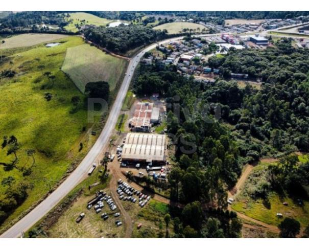 Foto de TERRENO RURAL COM A.T. DE 274.657,49M² - CAÇADOR/SC