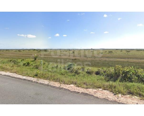 Foto de LOTE 2 - ÁREA DE TERRAS COM 06,00HA - BELMONTE/BA
