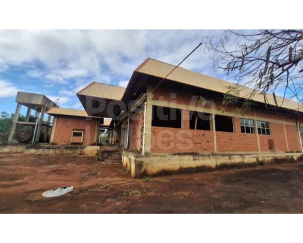 Foto de GLEBA RURAL COM A.T. DE 11,42HA - AVARÉ/SP