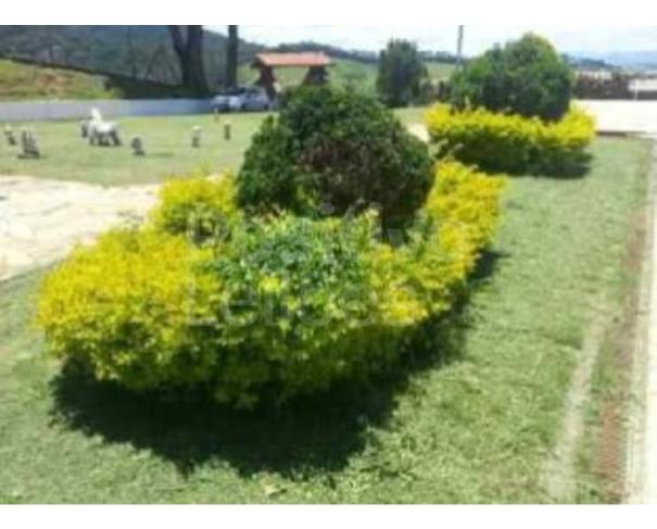 Foto de  IMÓVEL RURAL COM A.C. DE 565,00M² - JOANÓPOLIS/SP