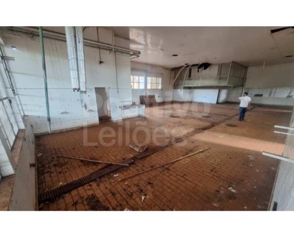 Foto de GLEBA RURAL COM A.T. DE 11,42HA - AVARÉ/SP