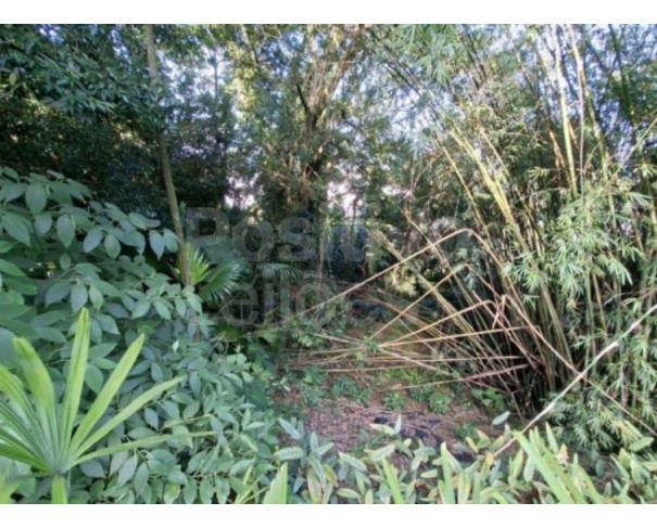 Foto de TERRENO COM A.Ú. DE 1.967,61M² - SANTOS/SP