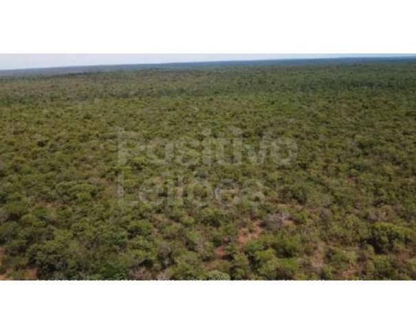 Foto de ÁREA DE TERRAS COM 484,5312HA - JANUÁRIA/MG