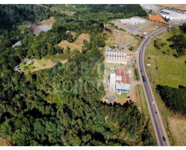 Foto de TERRENO RURAL COM A.T. DE 274.657,49M² - CAÇADOR/SC