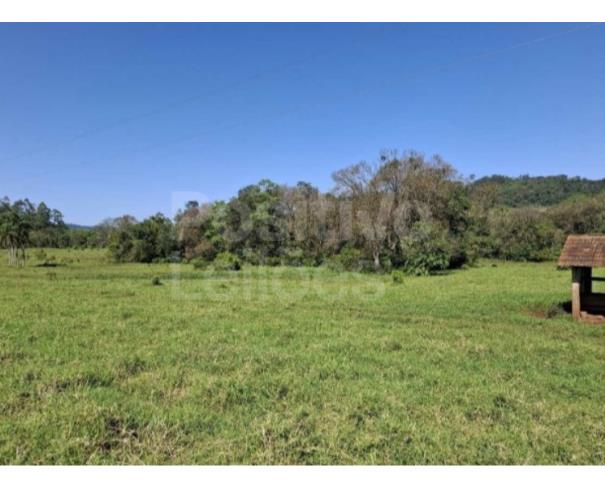 Foto de LOTE 1: GLEBA RURAL COM A.T. DE  DE 154,95 H.A.  - SÃO CARLOS/SC
