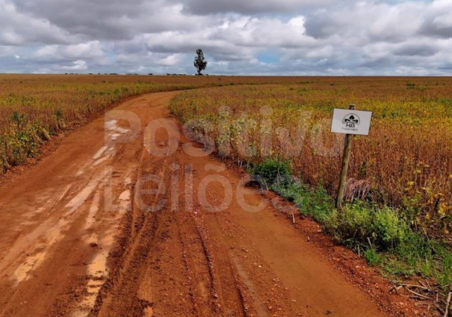 FAZENDA STA BÁRBARA - A. T. 241,89,14HA - IPAMERI/GO