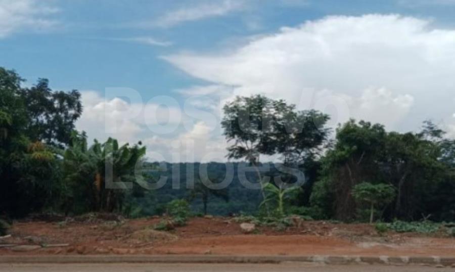 Imagem do imóvel LOTE 2 - ÁREA DE TERRAS COM 17HAS - ARIPUANÃ/MT MASSA FALIDA TUT TRANSPORTES