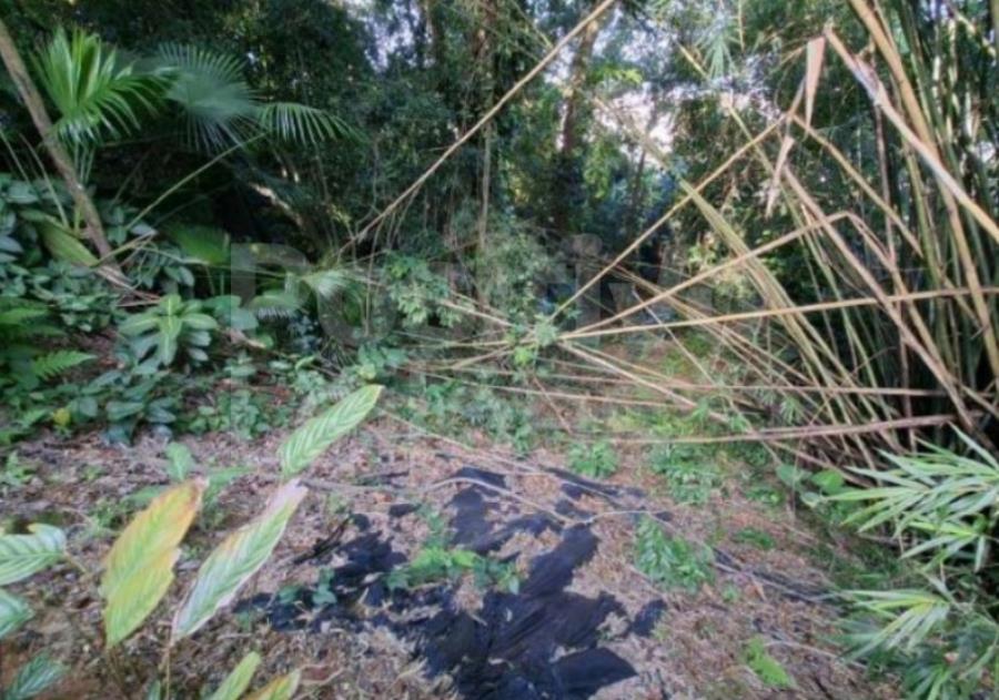 Imagem do imóvel TERRENO COM A.Ú. DE 1.967,61M² - SANTOS/SP TERRENO COM A.Ú. DE 1.967,61M² - SANTOS/SP