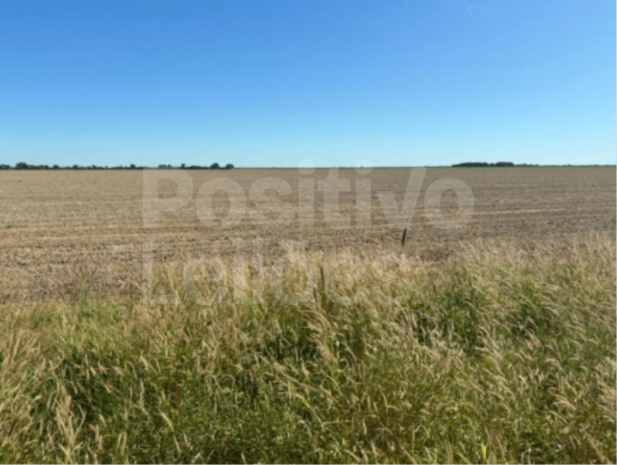 IMÓVEL RURAL COM 1.2628HA - SÃO DESIDÉRIO/BA IMÓVEL RURAL COM 1.2628HA - SÃO DESIDÉRIO/BA, localizado em São Desidério - BA