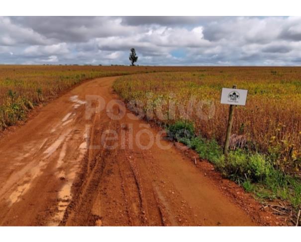 FAZENDA STA BÁRBARA - A. T. 241,89,14HA - IPAMERI/GO